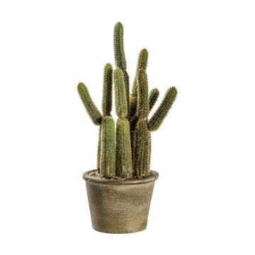 Cactus Carnegiea in Pot H.29cm