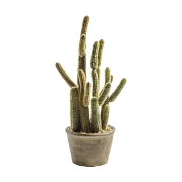 Cactus Carnegiea in Pot H.36cm