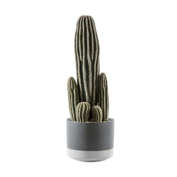 Cactus San Pedro in Ceramic Pot H.36cm