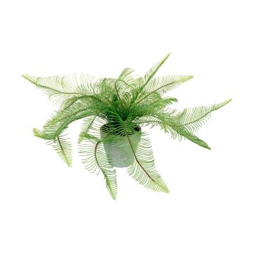 Potted Fern Feather H.40cm