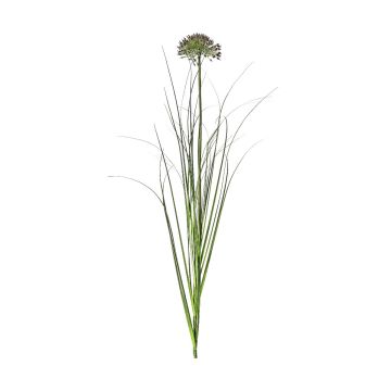 Allium Grass Spray Damson Set of 5 H.91cm