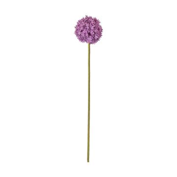Allium Stem Purple Set of 3 H.79cm