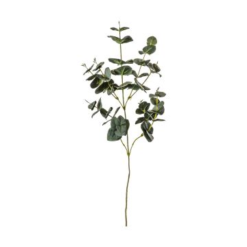 Eucalyptus Spray Green H.75cm