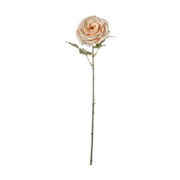 Rose Stem White/Apricot Set of 3 H.66cm