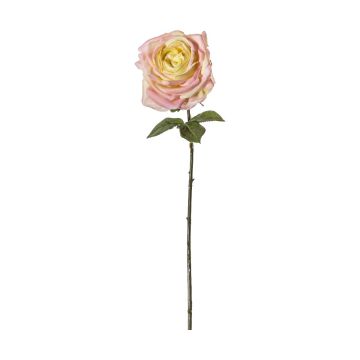 Rose Stem Ivory/Pink Set of 3 H.66cm