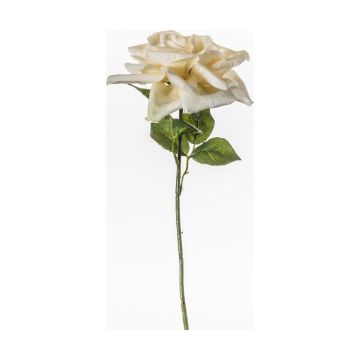 Rose Polyantha Stem White Set of 5 H.39cm