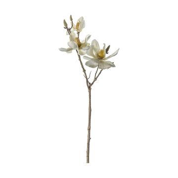 Magnolia Stem White H.61cm