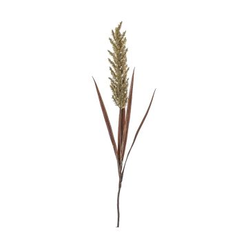 Pampas Spray Wheat/Russet H.122cm