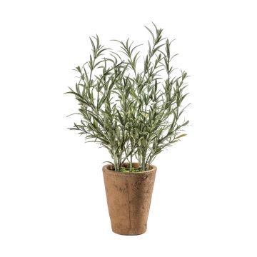 Faux Olive Plant in Clay Pot H.48cm