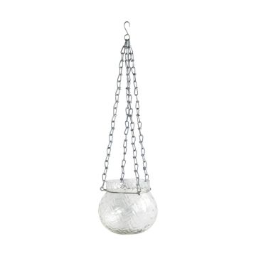 Lucio Clear Glass Hanging Planter