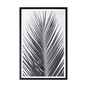 Framed Black & White Palm Print