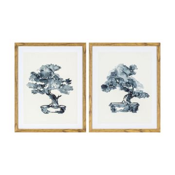 Framed Bonsai Watercolour Studies Set of 2