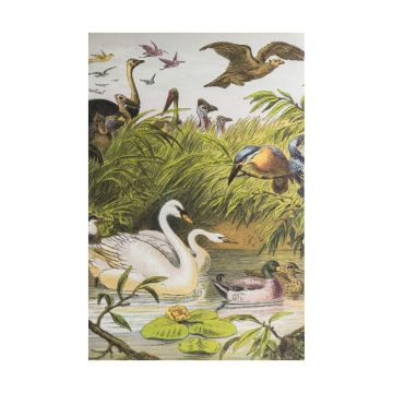A Flock of Birds Unframed Canvas