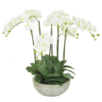 Artificial Orchid Potted White H61cm