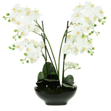 Artificial Phalaenopsis in Black Pot White Height 67cm