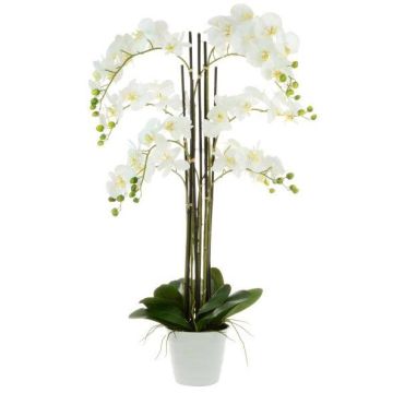 Artificial Phalaenopsis in white pot Height 109cm