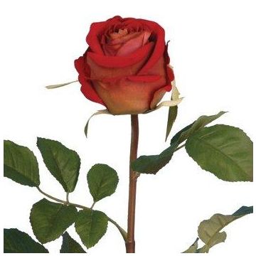 Artificial Rose