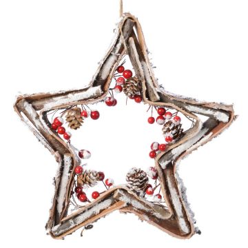 Christmas Star Decoration Bark & Berry 38cm