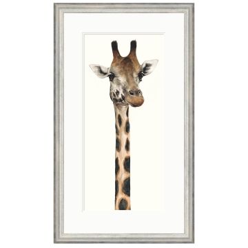 Tall, Dappled and Handsome by Dominique Salm - Limited Edition Framed Print