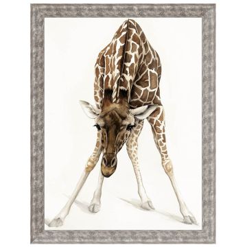 Can I Help You? by Dominique Salm - Limited Edition Framed Print Artist Proof Canvas