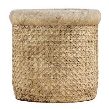 Dominic Large Natural Planter