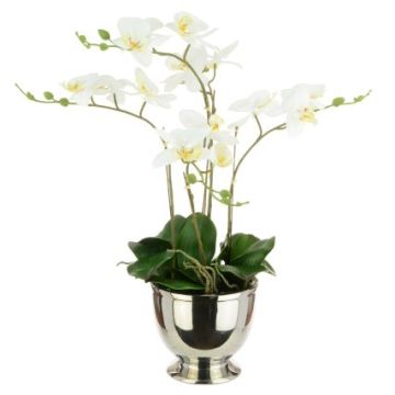 Artificial Phalaenopsis Orchid x 5 in Silver Pot H64cm
