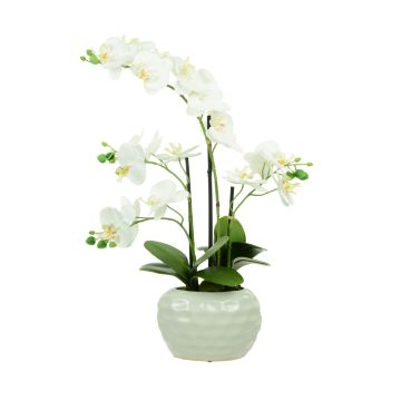 Artificial Phalaenopsis Dimpled Pot White H.53cm