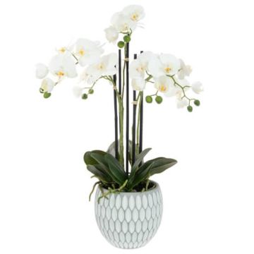 Artificial Phalaenopsis Orchid x 6 in Geo Pot H62cm