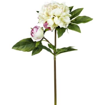 Peony Real Touch Cream H.56cm