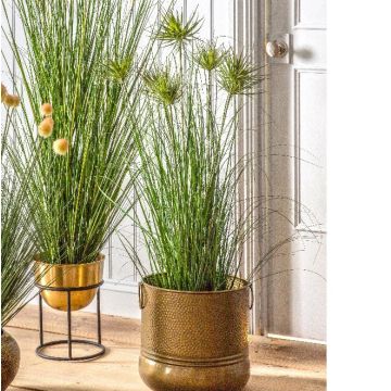 Potted Grass H.120cm