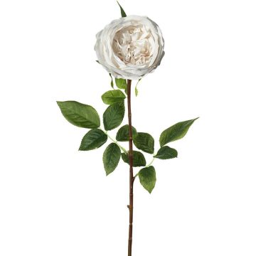 Rose Stem Lora Real Touch White H.71cm