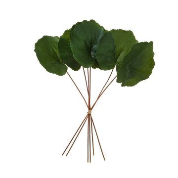 Green Artificial Galax Leaves Bundle Height 35cm