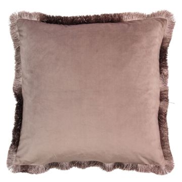 Isla Blush Velvet Fringed Cushion Set of 2