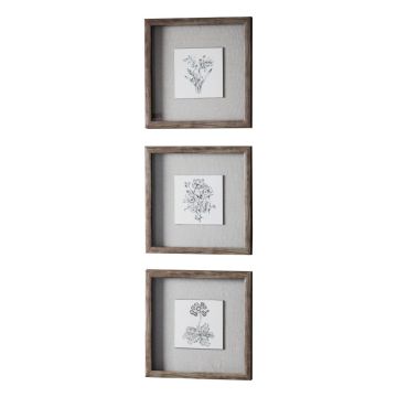 Set of 3 Floral Sketches Framed