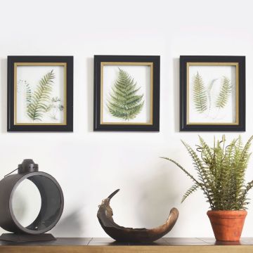 Set of 3 Botanical Ferns Framed Art