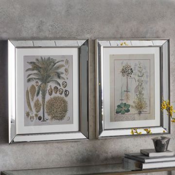 Hidcote Set of 2 Botanical Framed Art II