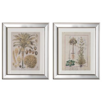 Hidcote Set of 2 Botanical Framed Art II