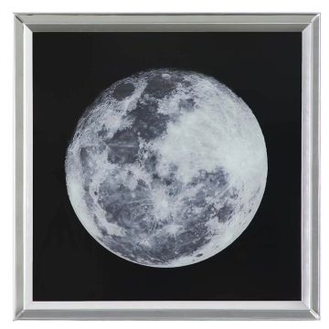 Moon Study Framed Art