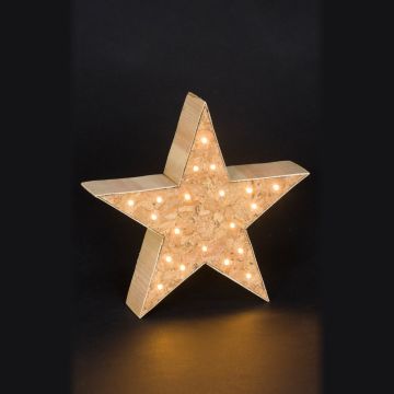 Christmas Star with LED Lights H.24cm